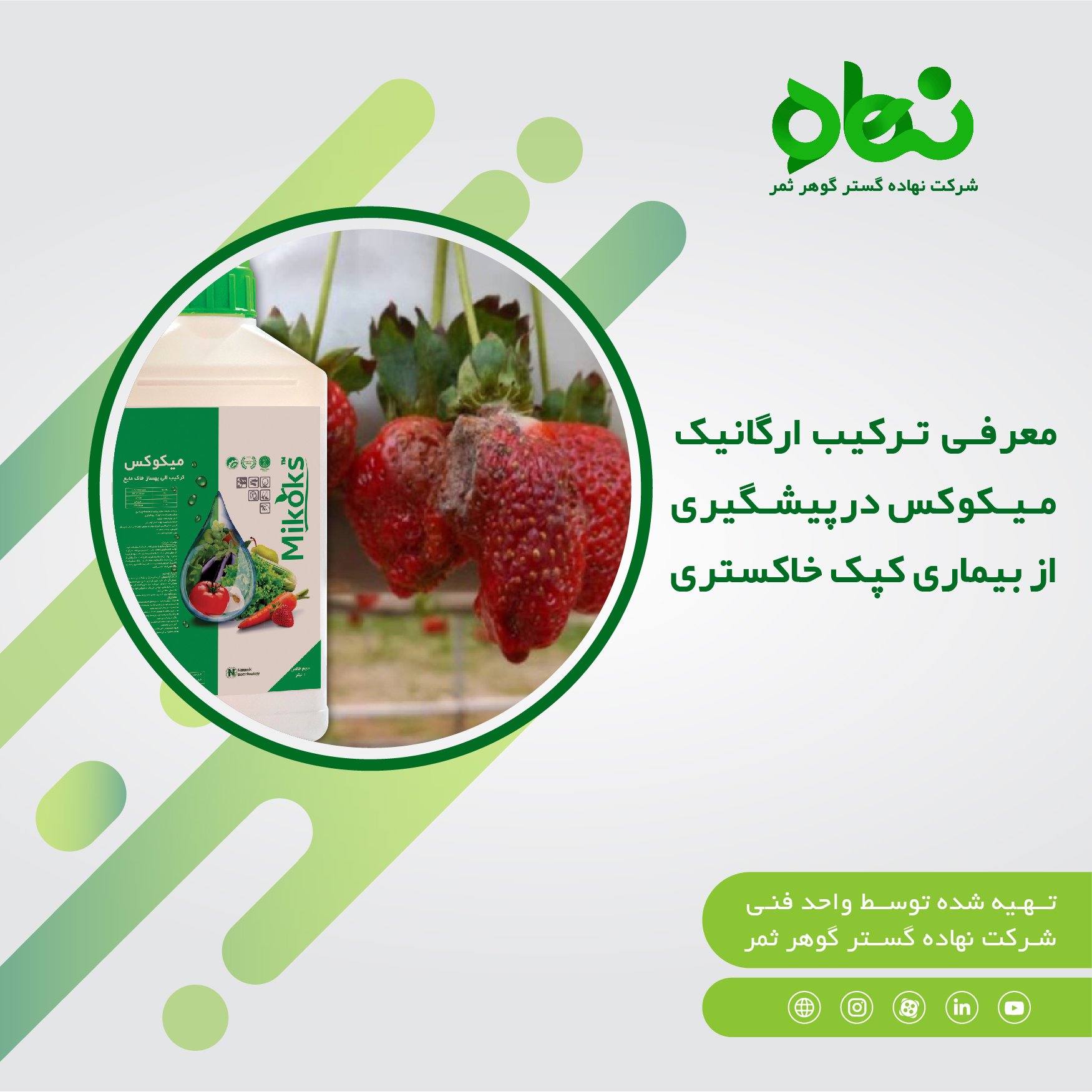 معرفی ترکیب ارگانیک میکوکس